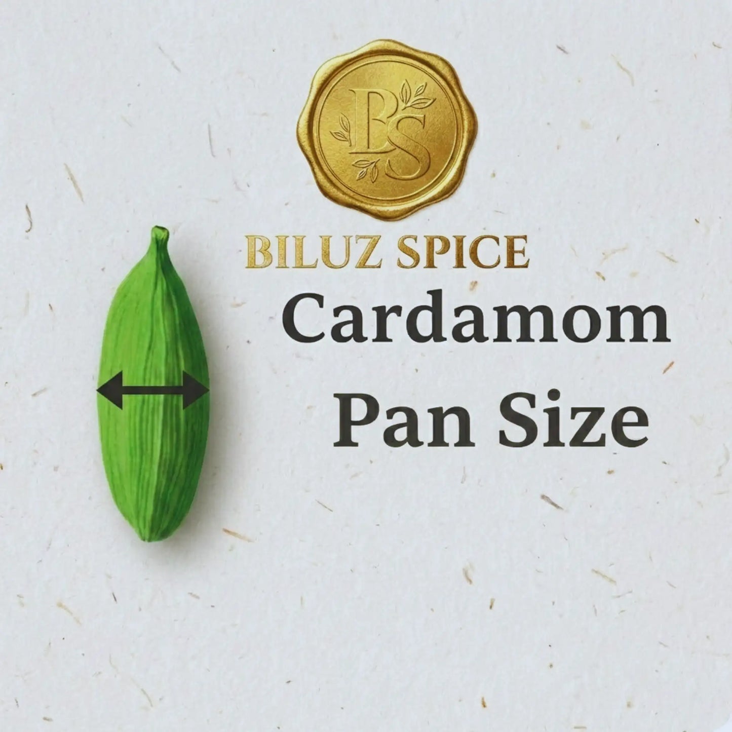 Pan Size Green Cardamom (Elaichi) – Small Pods, Strong Flavor