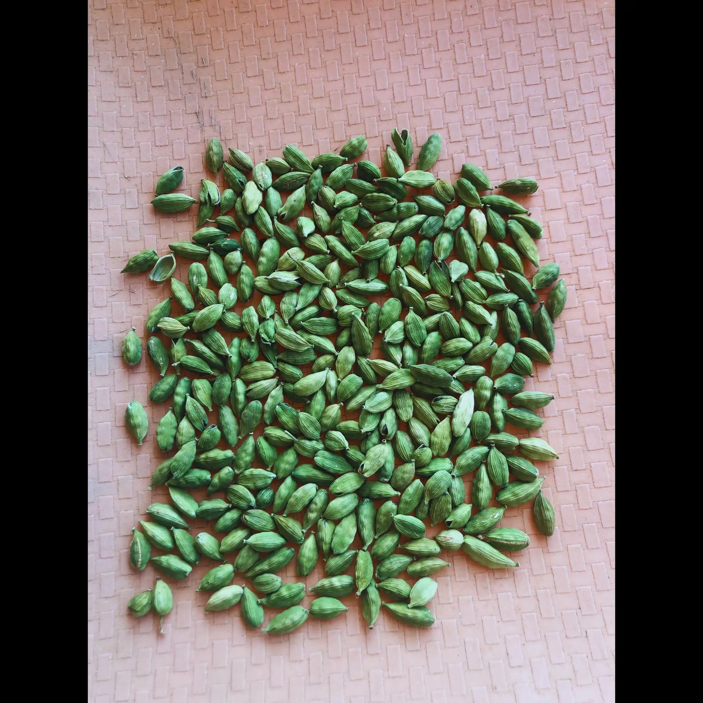 8mm Green Cardamom (Elaichi) – Extra Bold, Intense Aroma