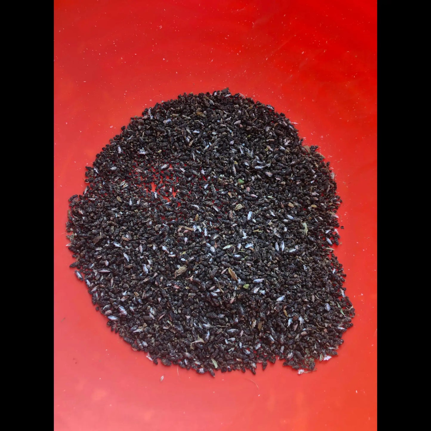 Cardamom Seeds (Elaichi Seeds) – Pure, Strong Aroma & Flavor