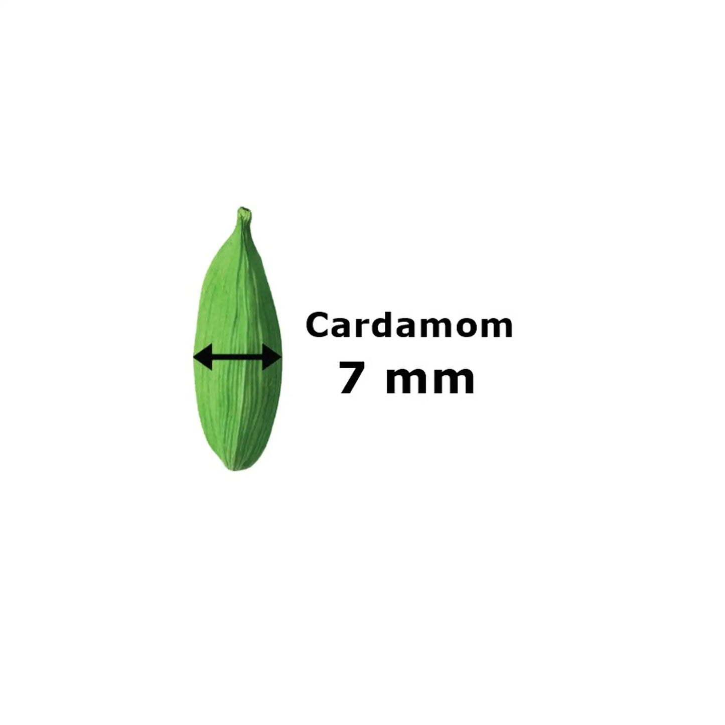 7mm Green Cardamom (Elaichi)
