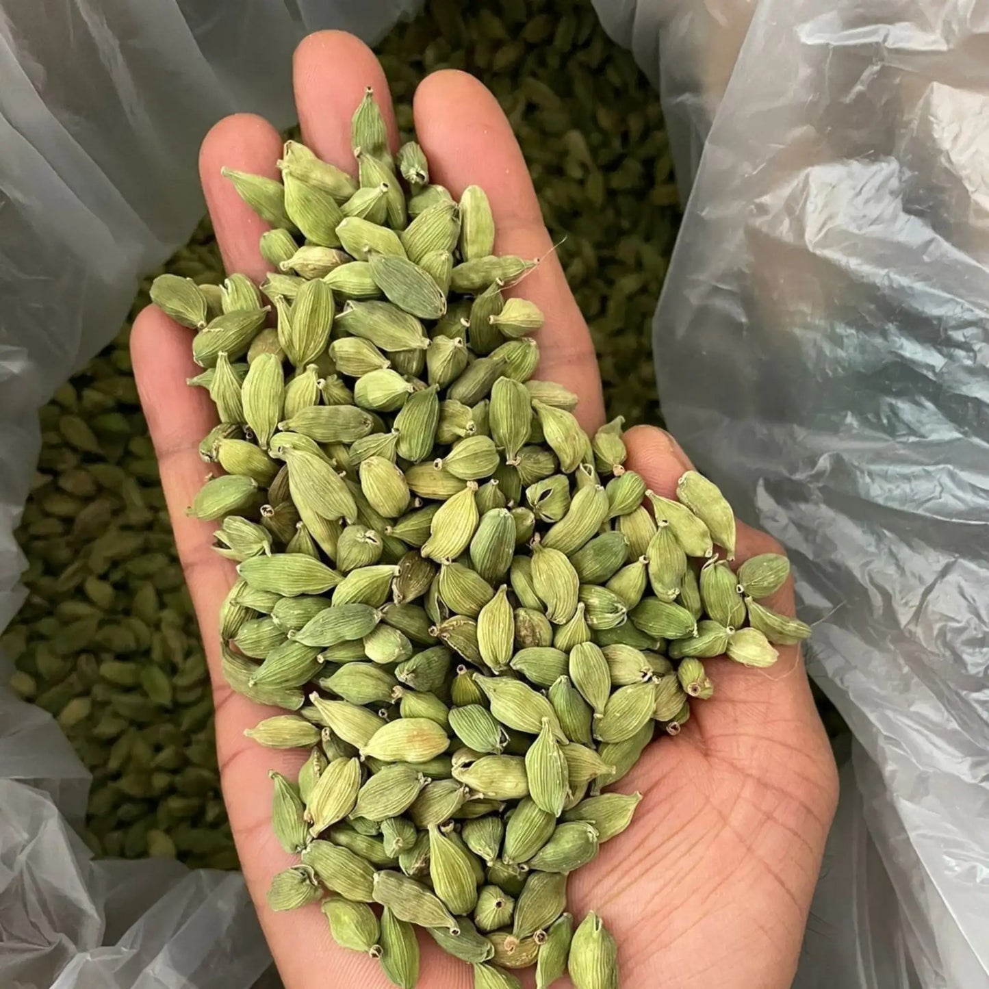 6mm Green Cardamom (Elaichi) – Bold Aroma & Rich Flavor