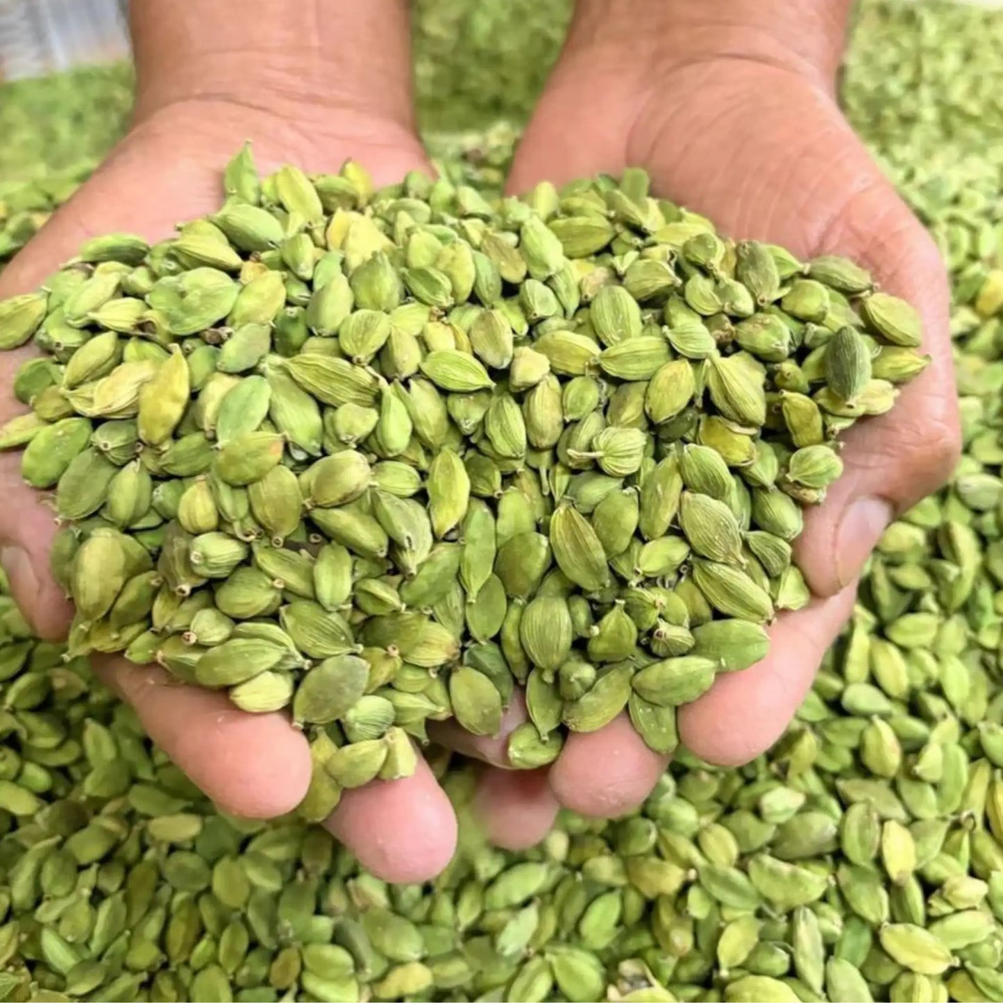 6mm Green Cardamom (Elaichi) – Bold Aroma & Rich Flavor